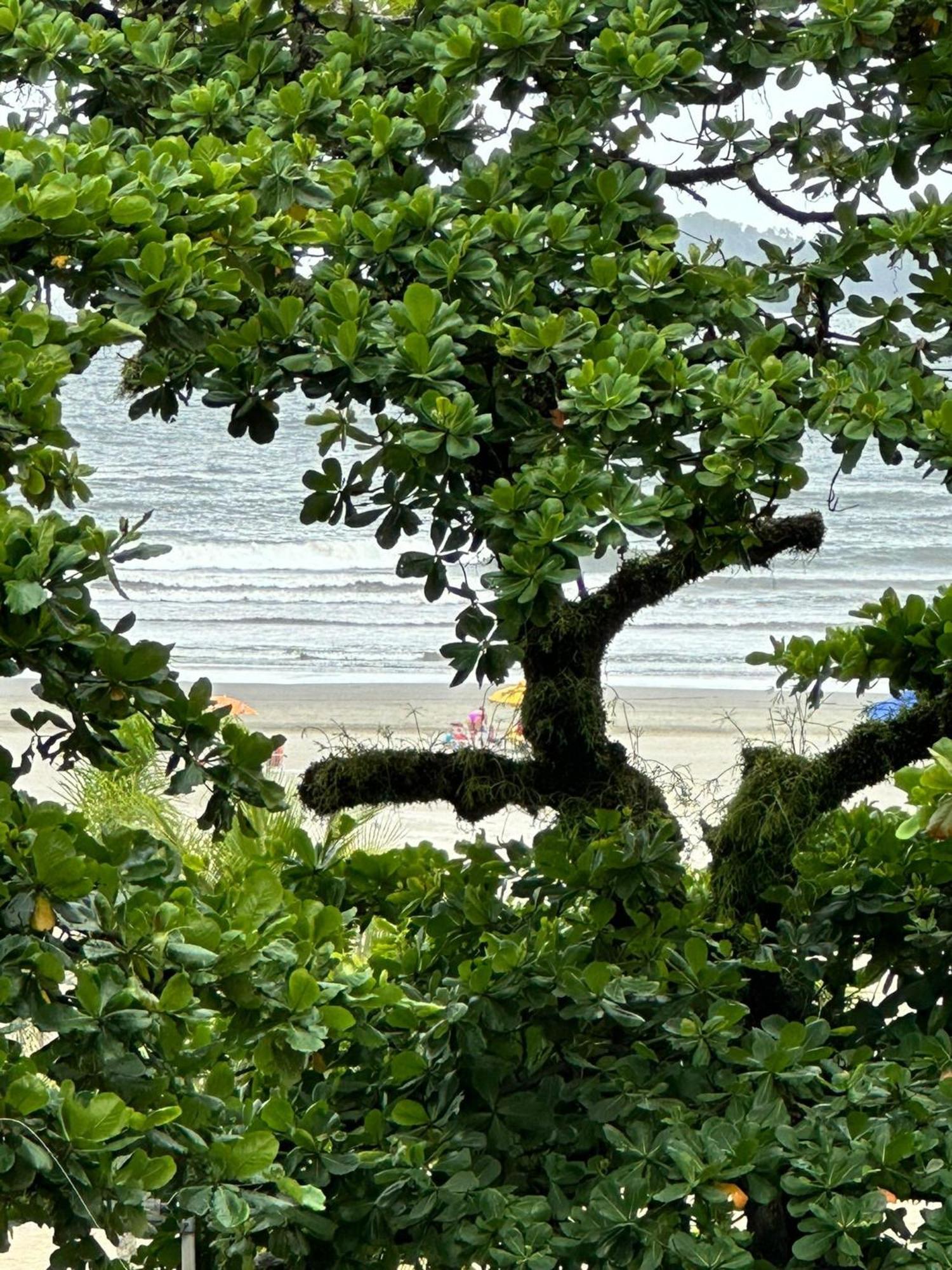 Appartement Ap Pe Na Areia Vista Parcial Mar à Santos  Extérieur photo